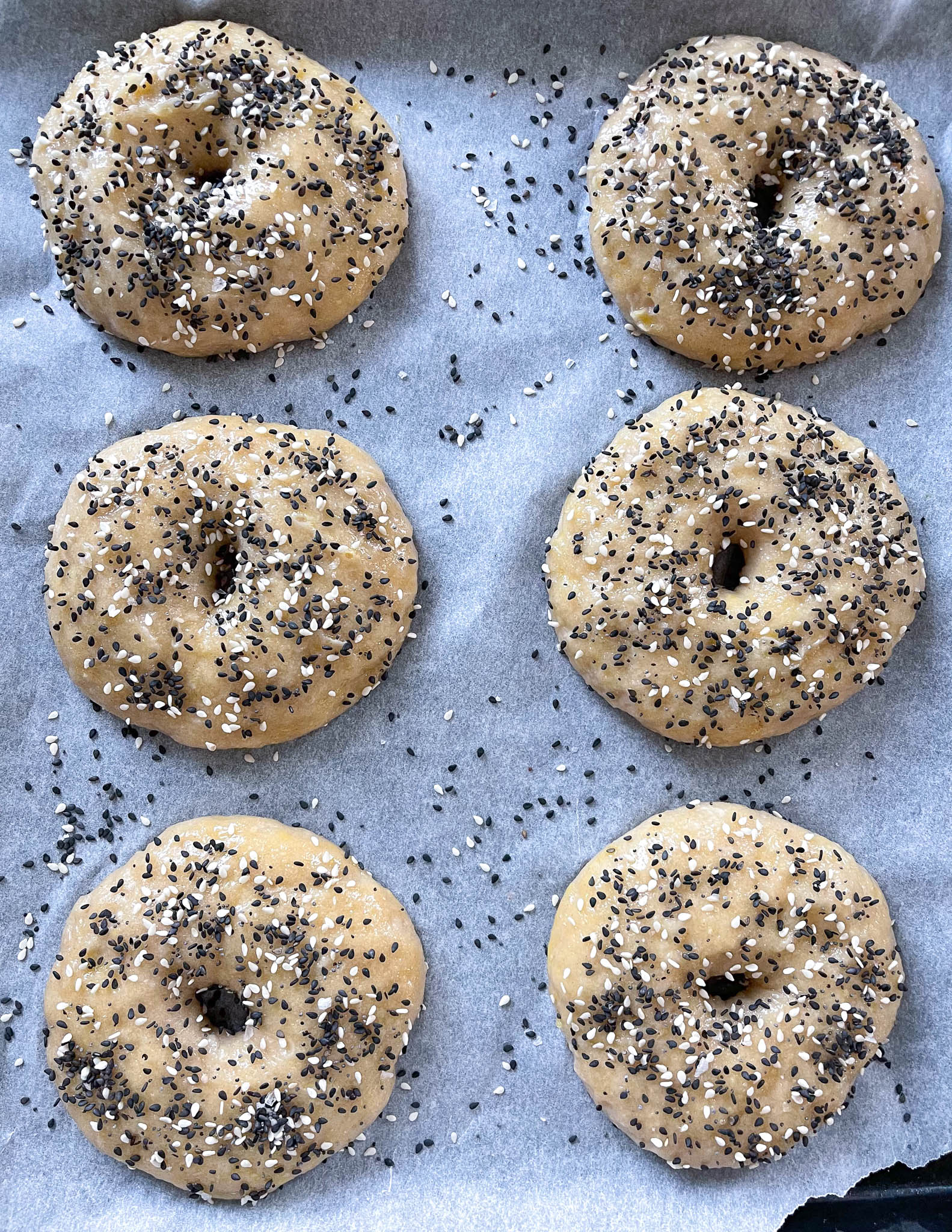 Homemade Sourdough Bagels Recipe - Bread By Elise