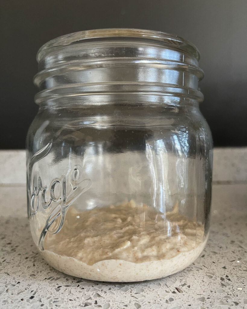 whole grain sourdough bread - levain