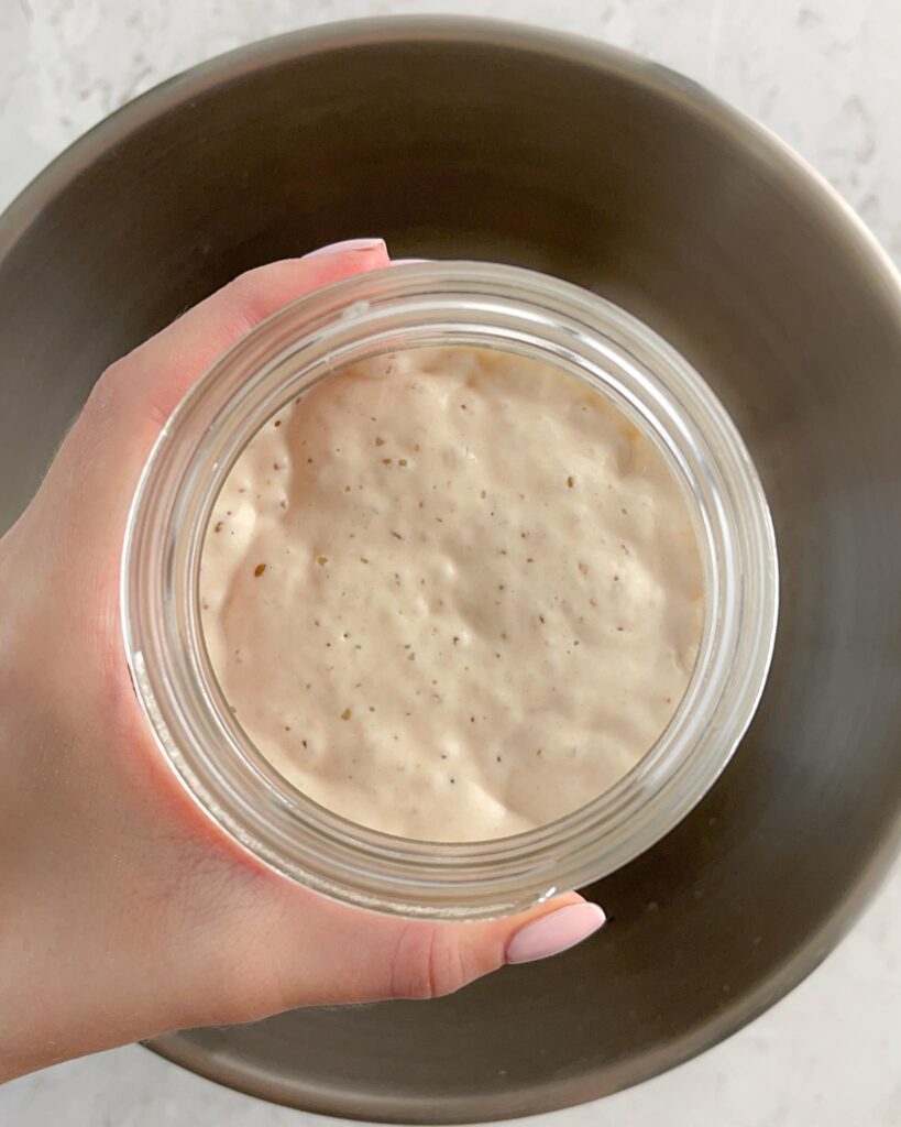 sourdough starter